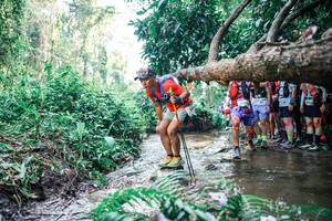 BIB: 
                            <button type="button" onclick="openModal(25466597)" class="btn btn-primary btn-sm float-right btn-popup" data-toggle="modal" data-target=".modal-high-quality">
                        <i class="fas fa-shopping-cart"></i> Add to Cart
                    </button>
                                            <button type="button" onclick="isThisMe(25466597, true)" class="btn btn-success btn-sm float-right btn-popup btn-isme hidden" data-toggle="tooltip" data-placement="bottom" title="นี่คือรูปของคุณใช่ไหม คลิกที่นี่เพื่อเอาเข้าอัลบั้ม">
                        <i class="fas fa-plus"></i> Add to album
                    </button>
                    <button type="button" onclick="isThisMe(25466597, false)" class="btn btn-warning btn-sm float-right btn-popup btn-isnotme hidden">
                        <i class="fas fa-ban"></i> Remove from album
                    </button>